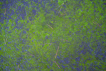 The stone wall texture surface detail image close up