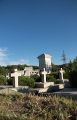 white military crosses set in equal rows against the background of summer green and full sun