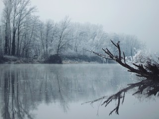bord de Loire sous le givre