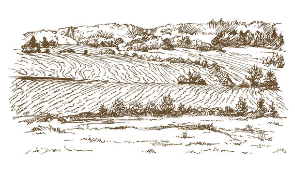 Agricultural landscape. Hand drawn illustration.