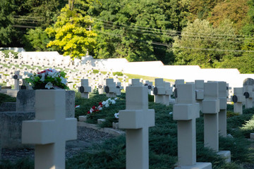  white military crosses set in equal rows against the background of summer green and full sun