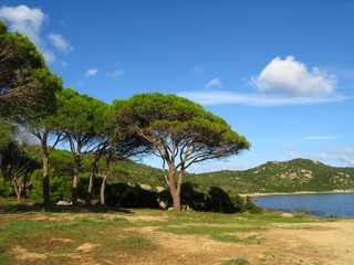 Fototapeta na wymiar Landschaft bei Porto Pirastu