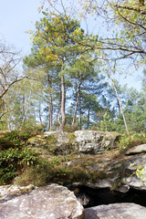 Chaos rocheux des gorges du houx dans le parc régional naturel du Gâtinais français