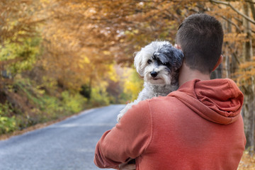 young man traveling in the autumn mountain with his dog