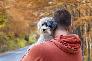 young man traveling in the autumn mountain with his dog