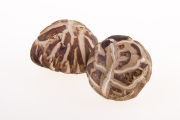 Dried mushroom closeup on background