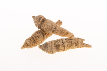 Dried Ginseng On Background