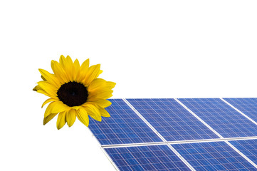 Solarkollektor mit Sonnenblume isoliert