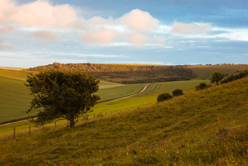 A dirt road and rural scene in East Sussex, England.
