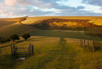 A trampled fence opens onto a country vista.