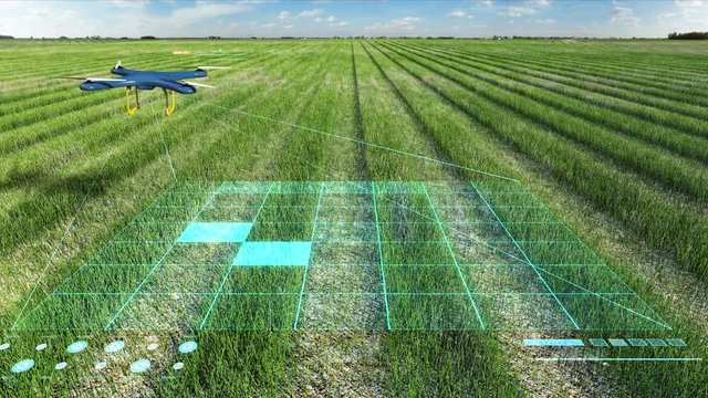 Drone scanning farm, Analyze the field, Smart agriculture, 4K size movie, internet of things. 4th industrial revolution.