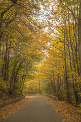 Naklejka premium Droga do wulkanu Etna jesienią