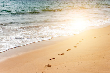 footprints on the beach