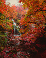 Waterfall in the autumn forest