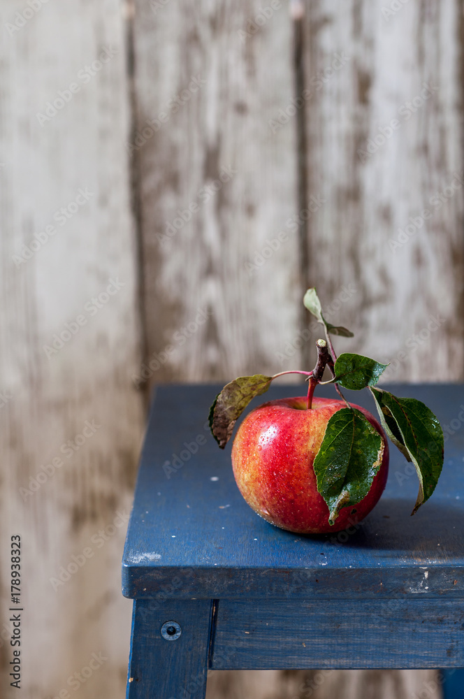 Canvas Prints a red and yellow apple on a bench - Canvas Prints