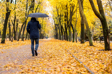 a man with an umbrella walking along the autumn park