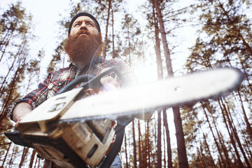 a woodcutter (lumberjack) works with a saw in the forest