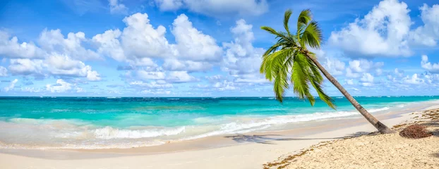 Zelfklevend Fotobehang Coconut Palm tree on white sandy beach in Punta Cana, Dominican Republic. Panoramic view. © Jane Star