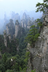 武陵源の天子山自然保護区の石家檐