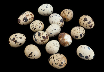 Quail eggs on black