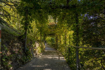 Merano&rsquo;s Gardens of Trauttmansdorff Castle