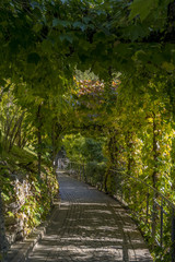 Obraz premium Merano’s Gardens of Trauttmansdorff Castle