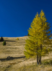 Autumn landscape on Gardena Pass, South Tyrol, Italy