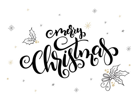 vector hand lettering christmas greetings text -merry christmas - with holly leaves and snowflakes