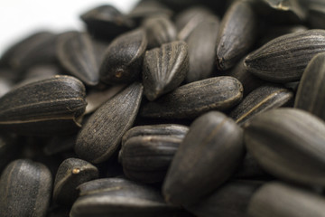 seeds macro