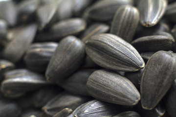 seeds macro