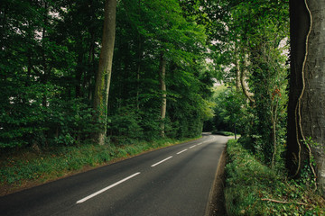Fototapeta premium Empty country asphalt road passing through the green forest in the region of Normandy, France. Nature, countryside landscape, transportation and road network concept