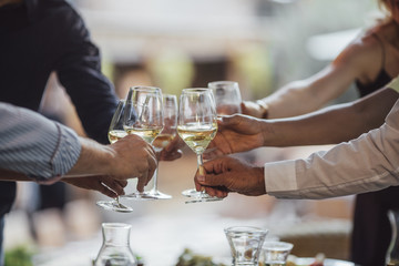 People Toasting at Party