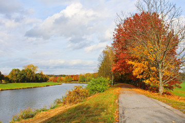 Obraz premium Bicycle path, autumn trees near river Vltava. Czech landscape.