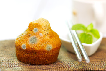 Selective focus of the moldy bread expired