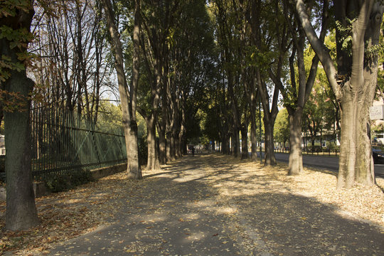 paved sidewalk