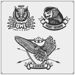 The emblems with owl. Vector illustration.