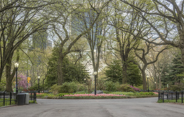 Central Park, New York City spring