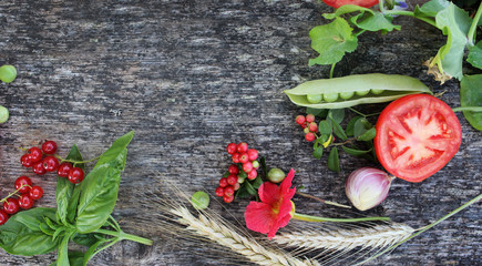 Vegetables, plants on wood