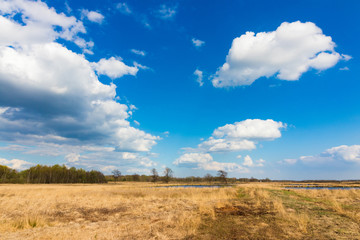 Obraz premium Moorlandschaft