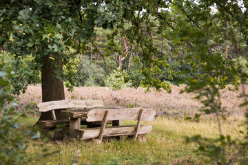 Naklejka premium Sitzbank im Moor
