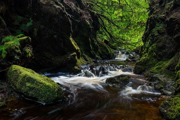 Puck's Glen, Argyll, Scotland