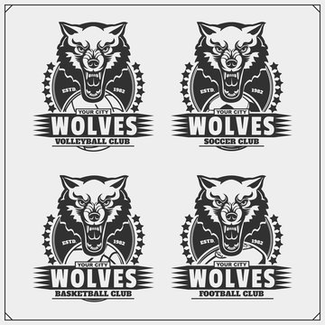 Volleyball, baseball, soccer and football logos and labels. Sport club emblems with wolf.