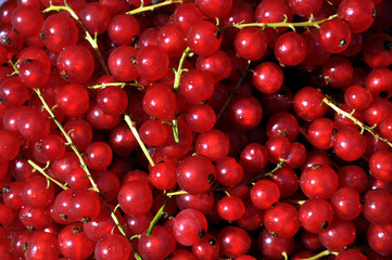 Rote Johannisbeeren, süße reife Früchtchen