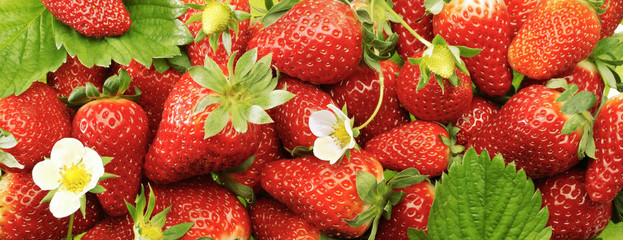 A lot of strawberry in high resolution