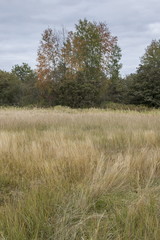 Autumn landscape, Belarus
