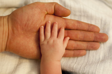 Fototapeta premium Babyhand