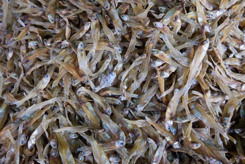 Small dried fish