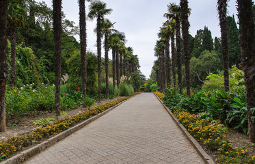 Fototapeta na wymiar alley in botanical garden