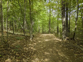 Obraz premium north carolina USA nature parks 