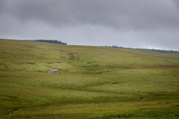 Obraz premium Big fields of grass, muddy and wet in the English Moor